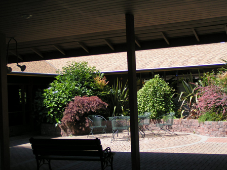 the courtyard area